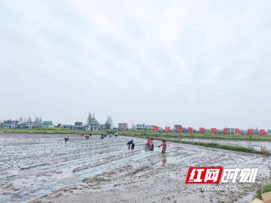 湖此最新疫情，挑战与希望交织的时刻