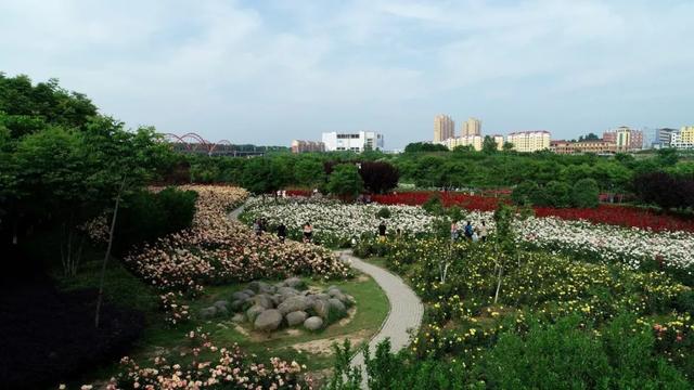 景步国最新动态，引领前沿探索，迈向未来之路