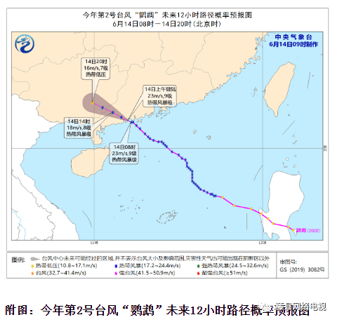 台风鹦鹉最新动态解析，影响及应对策略全面探讨