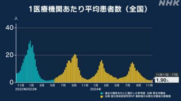 日本面临最新病毒的严峻挑战与影响