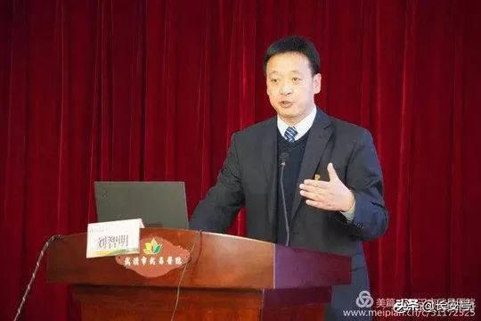 刘智明，引领前沿领域的探索与影响新成就揭秘