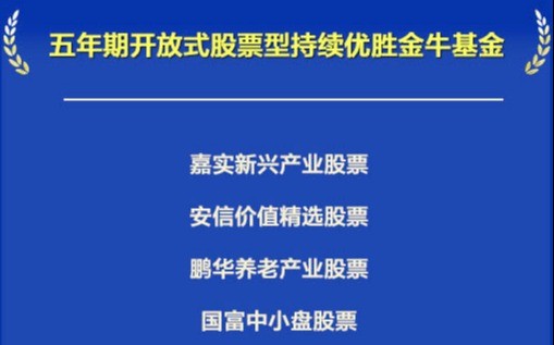 基金奖背后的力量与智慧，荣誉探索之旅