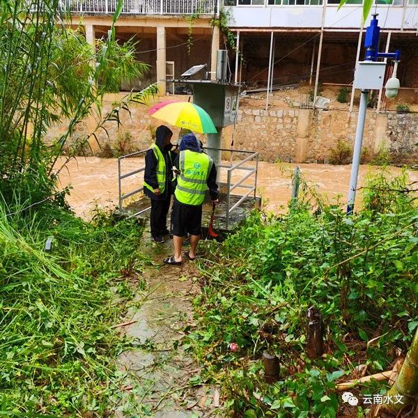 云南临沧暴雨来袭，影响与应对挑战