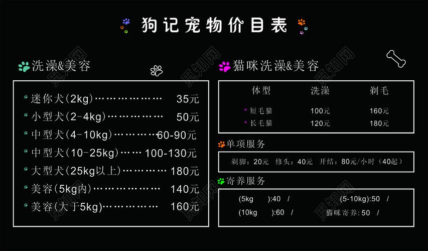 宠物狗养护成本深度解析与省钱策略