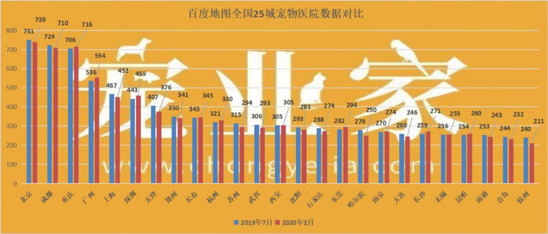 宠物医院选址的重要性，环境与服务质量深度解析