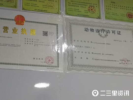 宠物店营业执照经营范围详解与指南