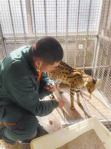 大连宠物寄养，爱宠无忧度假胜地