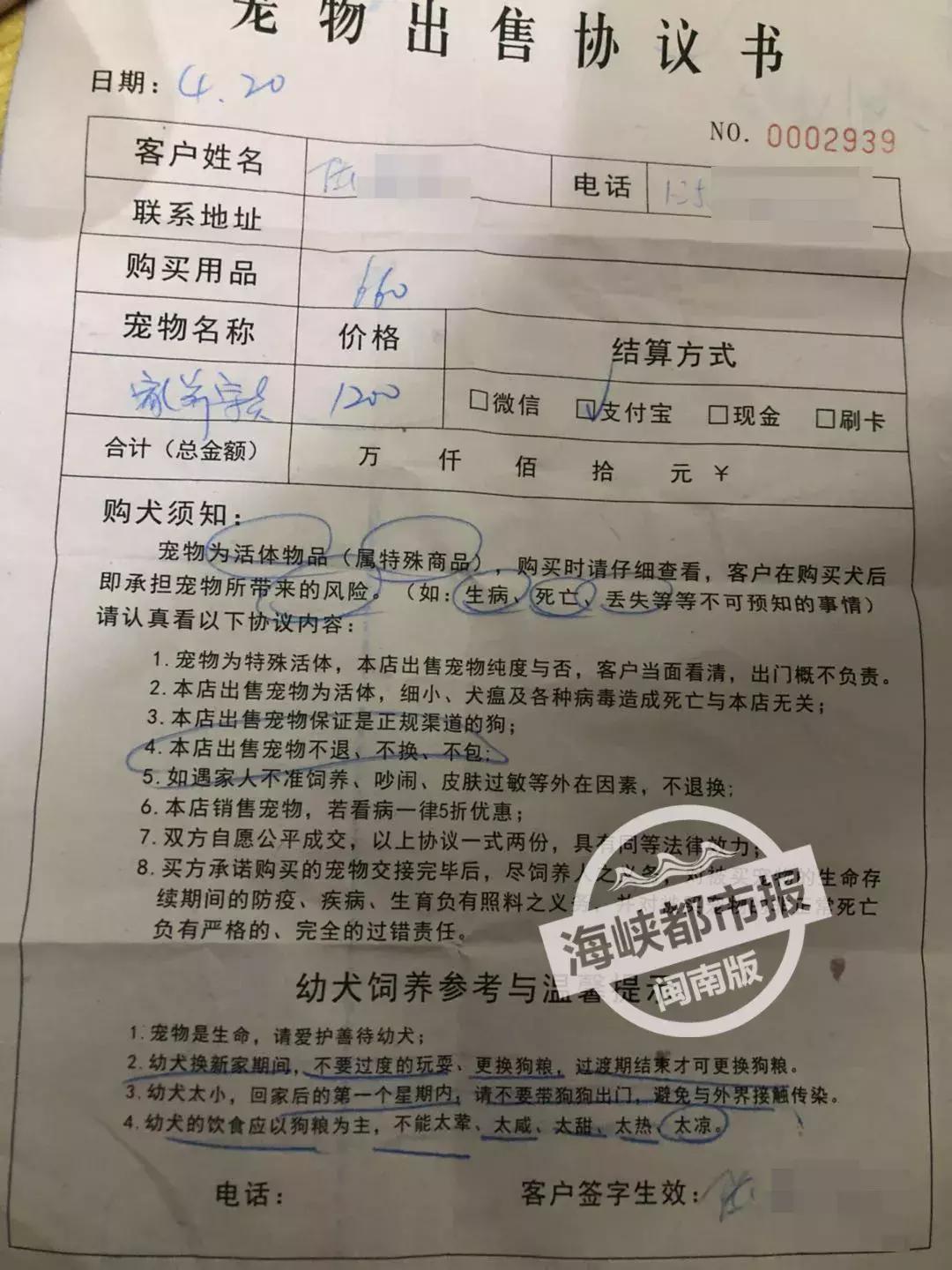 购买宠物狗的手续办理与注意事项指南