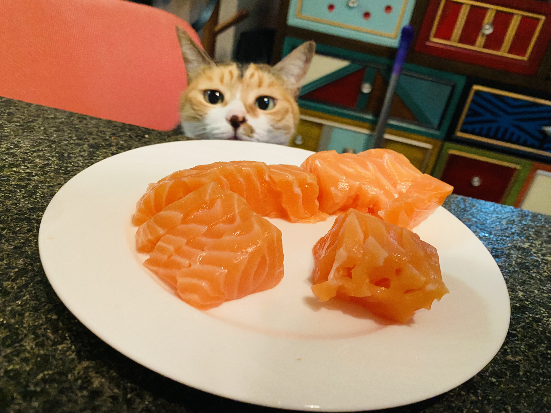 三文鱼，猫咪营养美食之选