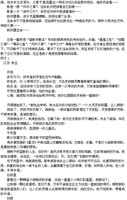 作文立意，深度解析写作中的核心思想与价值意义