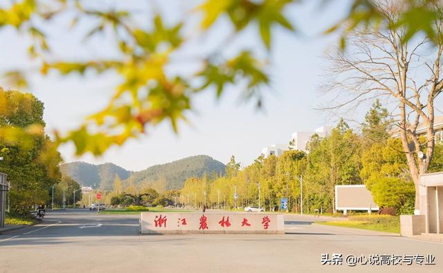 浙江农林专业蓬勃发展及其广泛影响力