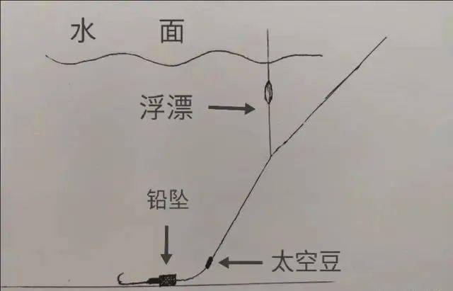 台钓线与路亚线差异解析，核心钓法差异探究