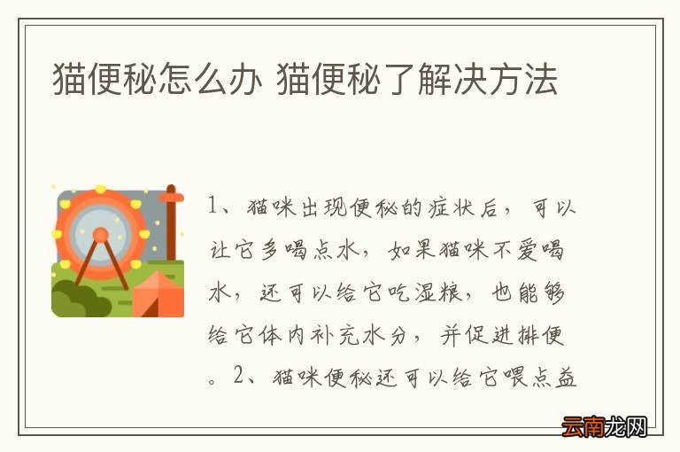 猫咪便秘呕吐如何应对？宠物健康指南