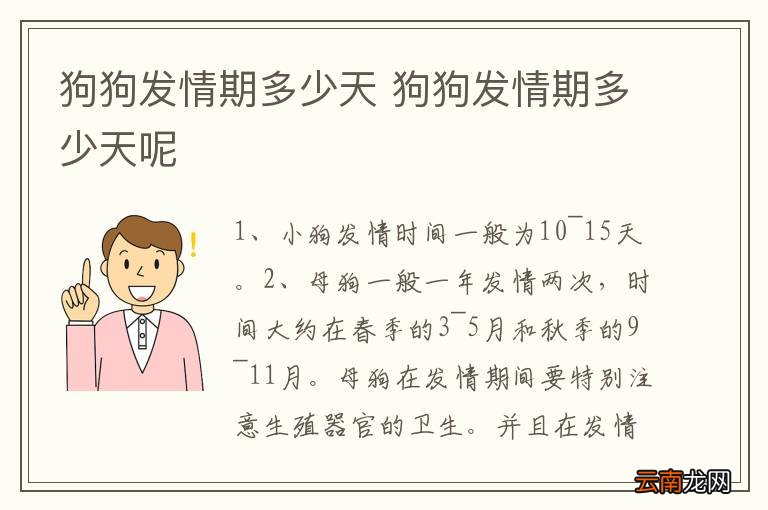 狗狗发情持续天数及注意事项