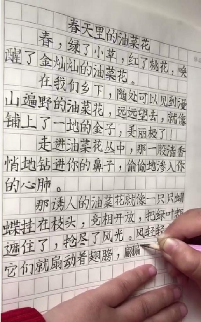 小草的生命，顽强与坚韧的见证