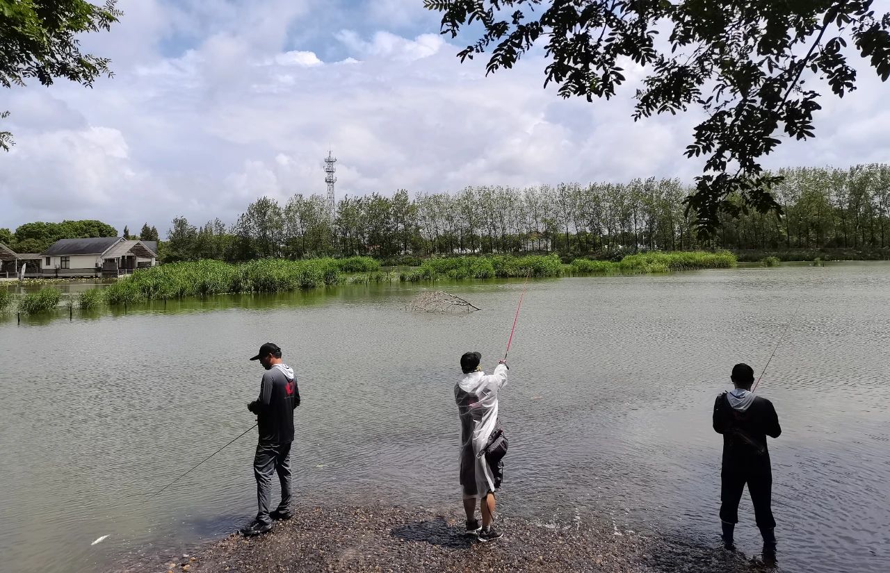 绍兴野塘路亚探秘，垂钓爱好者的新秘境之旅