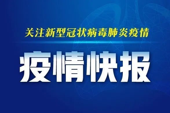 全球疫情最新动态，全球态势分析与应对策略深度解析