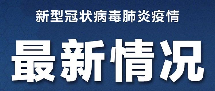 全球新冠肺炎最新动态及应对策略进展概览