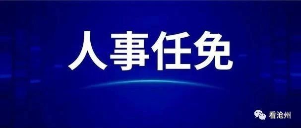 沧州人事调整最新动态，城市发展坚实后盾与未来展望