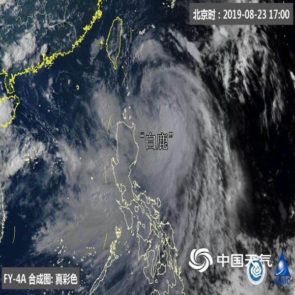 中国最新台风动态，影响、应对与反思