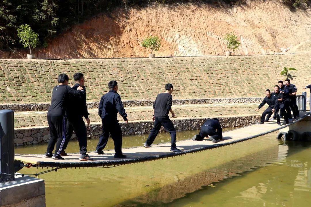 野狼谷生态探索之旅，自然保护与恢复的新篇章