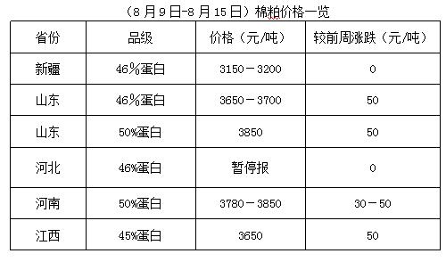 最新短融价格动态及其对金融市场的影响分析