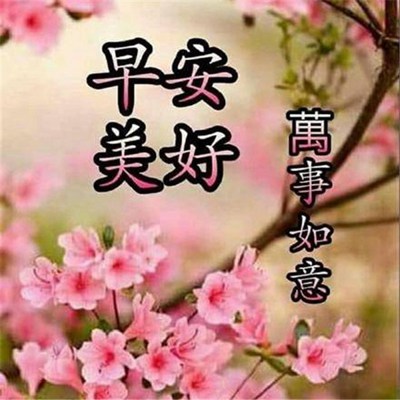 图片问候，重塑交流的新纪元