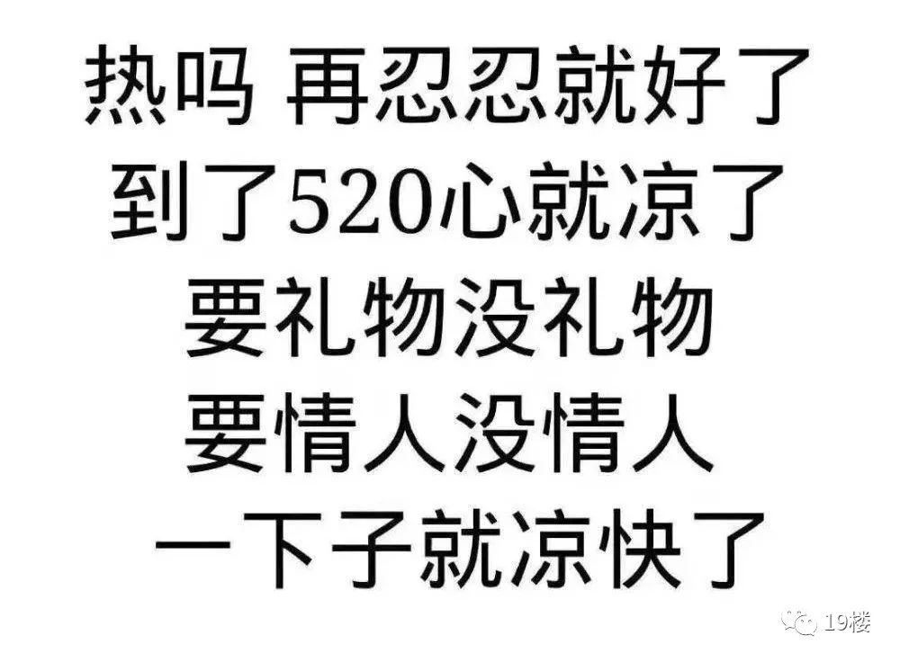 网络热段子魅力与影响力揭秘，最新流行语的魅力与冲击